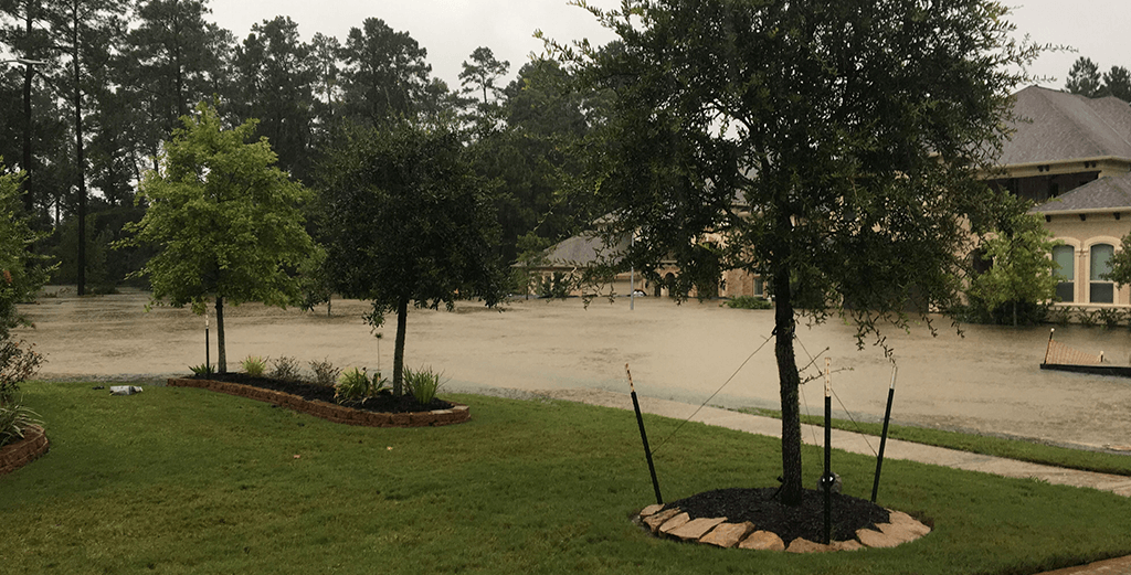 Extreme weather moments: Hurricane Harvey